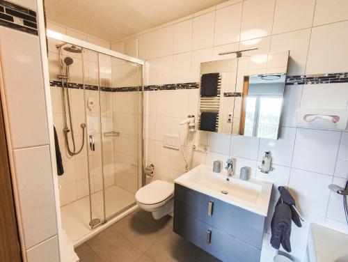 施皮格劳DAS PALMBERGER的带淋浴、卫生间和盥洗盆的浴室