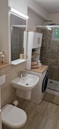 蒂米什瓦拉Apartamentul GAVIOTA的一间带水槽、卫生间和淋浴的浴室