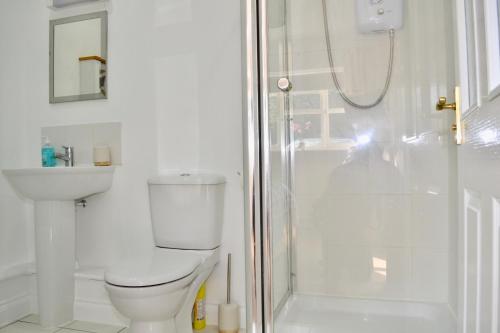 伊利Beautiful studio in Ely的白色的浴室设有卫生间和淋浴。