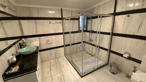 伊斯坦布尔Palm Beach Şile Villa Hotels的带淋浴和盥洗盆的浴室