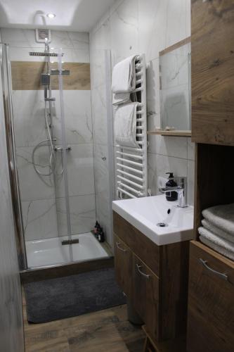 海因岑贝格Apart Hanna的带淋浴、盥洗盆和淋浴的浴室
