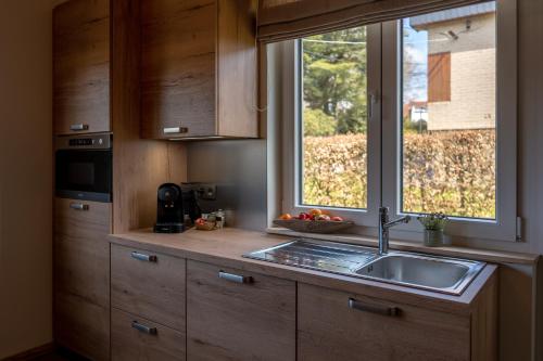 斯帕Le Spalace的厨房设有水槽和窗户。