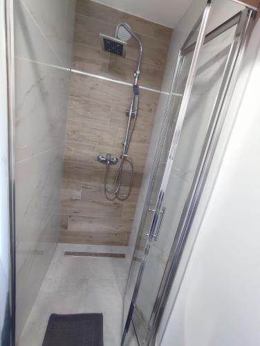 里耶卡Nika 2的带淋浴的浴室,带玻璃门