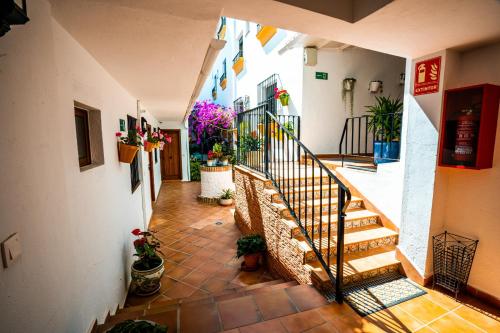 马贝拉Marbella Village的楼内带有楼梯和盆栽的走廊