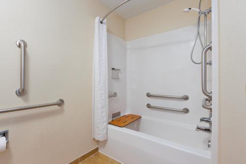 华盛顿北华盛顿烛木套房酒店的带浴缸和淋浴间的浴室