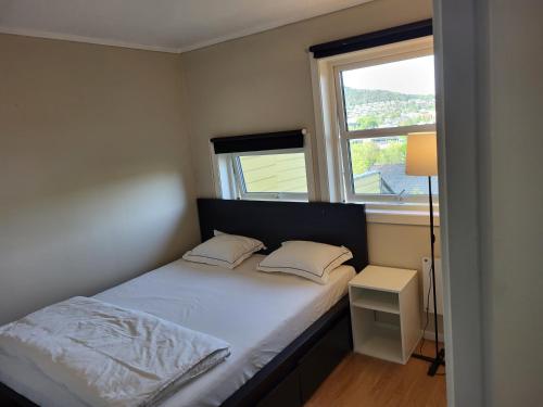 Østre JongApartment in Sandvika Bærum - Great view and Attractive的一间小卧室,配有床和2个窗户