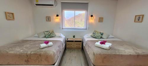 普罗维登西亚Colorful Garden House的带窗户的客房内设有两张单人床。