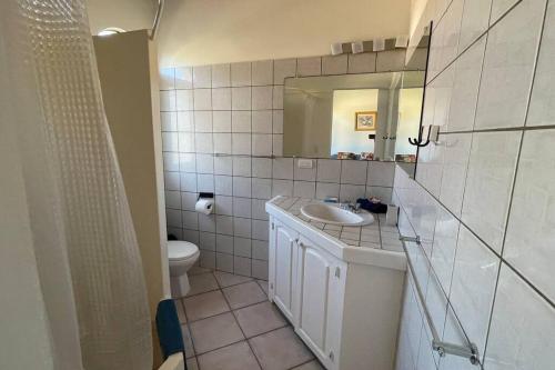 喀巴里特Central Cabarete Apartment的一间带水槽、卫生间和镜子的浴室