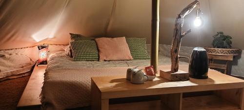 韦尔-加尔桥Évasion en pleine nature, Tipi insolite à proximité du Pont du Gard !的一间卧室配有一张床和一张带台灯的桌子