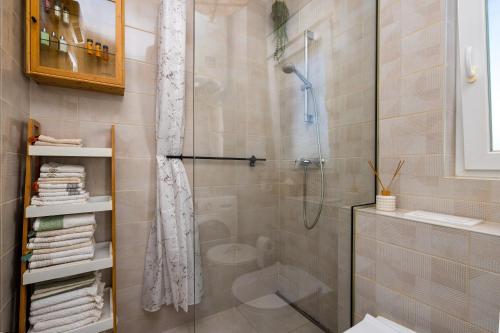 斯普利特Apartment Ivy的带淋浴的浴室和玻璃门