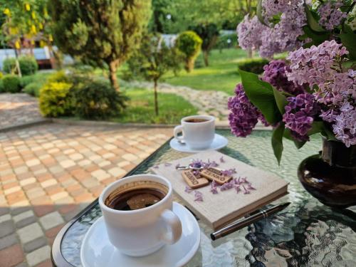 利沃夫Villa ZENKO的花在玻璃桌上的两杯咖啡