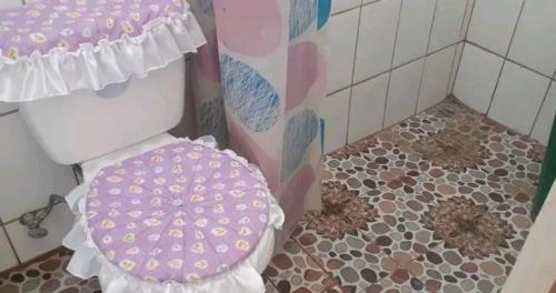 莫约加尔帕Cocos Hostel的一间带卫生间和粉红色盖子的浴室