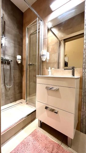 克拉科夫Homely Studio的一间带水槽和淋浴的浴室