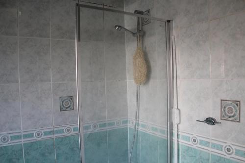 埃奇韦尔Cozy light single bedroom的带淋浴的浴室和玻璃门
