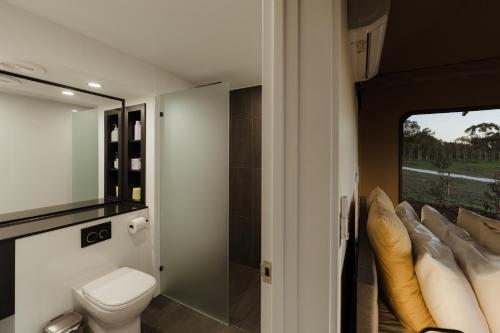 赛特菲尔德CANVS by CABN Seppeltsfield Barossa的一间带卫生间和窗户的浴室