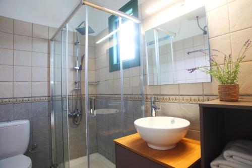 瓦西利基Echinades Resort的一间带玻璃淋浴和水槽的浴室