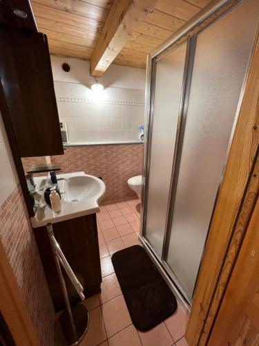 萨伊恩特-雷米-恩-博塞斯Grandze du Pleiney的带淋浴和盥洗盆的浴室