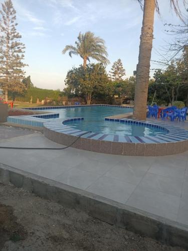 SarābiyūmVilla amir的一个带蓝色椅子和棕榈树的游泳池