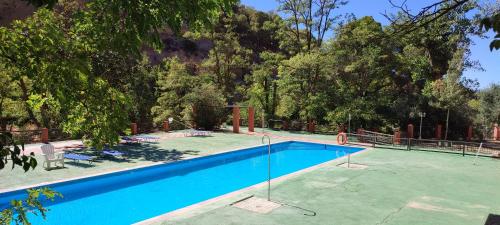 瓜迪克斯拉塔拉卡萨斯石窟旅馆的一座大游泳池,位于一个树木繁茂的庭院内