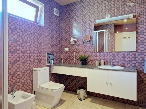 托波尔希卡Apartment HORTENZIJA near Terme Topolšica的一间带卫生间、水槽和镜子的浴室