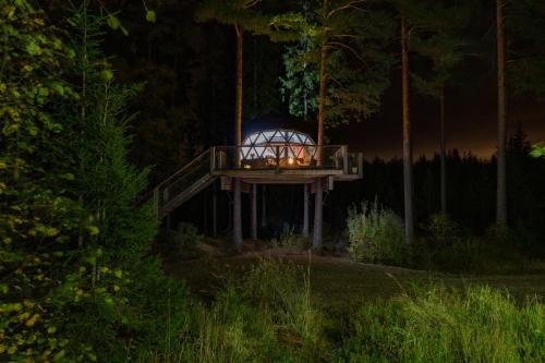 VidnesTreehouse dome的夜晚在树林里的一个凉亭