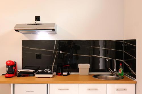 帕拉塔蒙Elia Studio的厨房配有水槽和台面