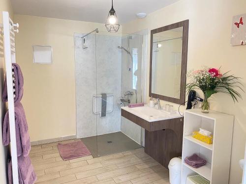 Mareuil-sur-CherLes Mariniers Chambres d'Hôtes的浴室配有盥洗盆和带镜子的淋浴