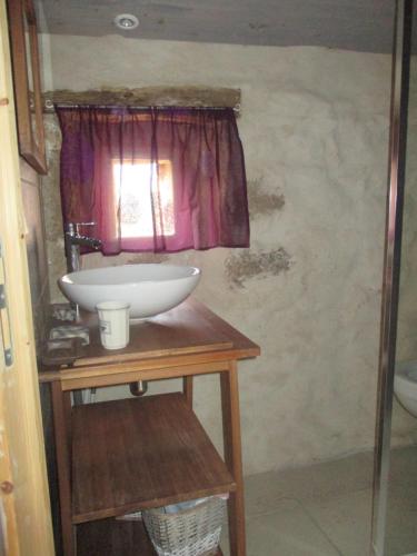 MalaurierGites de Fouard "La Pranièra"的一间带水槽和窗户的浴室