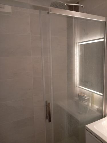 鲁昂Belle Chambre pour une personne的浴室里设有玻璃门淋浴