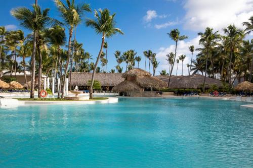 蓬塔卡纳Grand Palladium Palace Resort Spa & Casino - All Inclusive的棕榈树度假村的游泳池