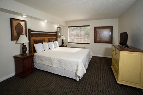 布兰森Oak Ridge at Branson的一间卧室配有一张大床和电视