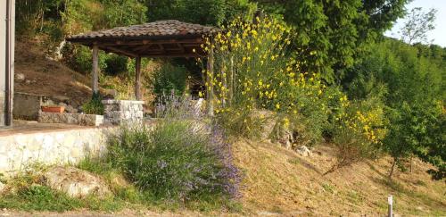 莫尔曼诺La Locanda dei Cavalieri的花丛山丘上带凉亭的花园