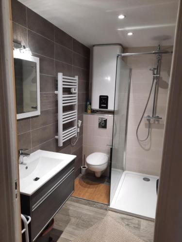 滨海卡涅MONA LISA的带淋浴、盥洗盆和卫生间的浴室