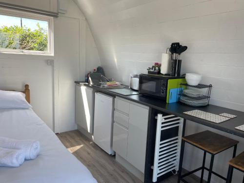 金斯布里奇Cosy Glamping Pod with shared facilities, Nr Kingsbridge and Salcombe的带微波炉的台面的小厨房