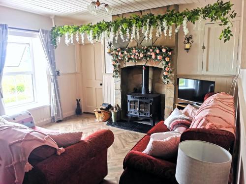 多尼戈尔New Listing - Ladybird Cottage - Donegal - Wild Atlantic Way的客厅设有两张沙发和一个壁炉