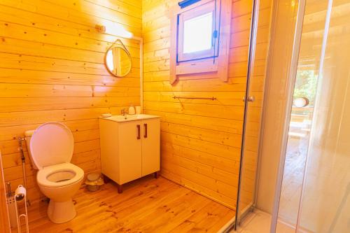 卡夫尔高原Chalet Gayar的一间带卫生间、水槽和窗户的浴室
