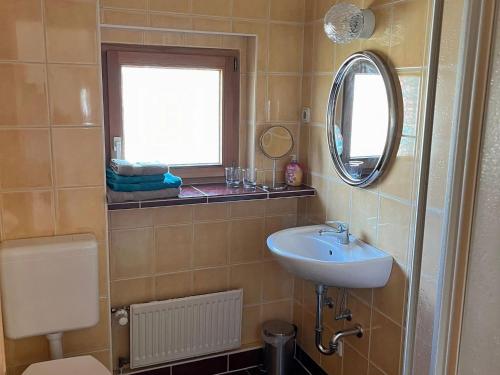 克吕茨Cozy Apartment in Klutz Germany with a Lovely Garden的一间带水槽、镜子和卫生间的浴室