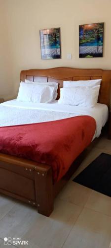 利隆圭Stream Box Lodge的一间卧室配有一张带红色毯子的床