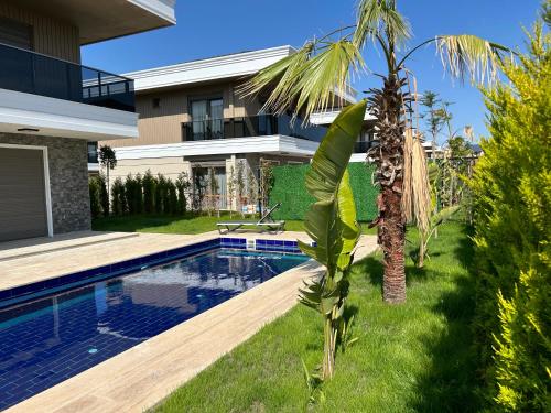 贝莱克Nirvana Belek Villas的一座带游泳池和棕榈树的房子