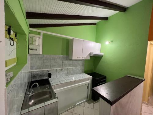 圣罗斯Paradis le Clodyo的一个带绿色墙壁和水槽的小厨房