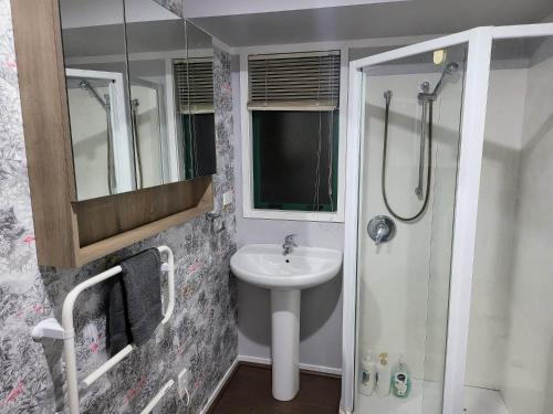 旺阿雷Hatea Treehouse的一间带水槽和淋浴的浴室