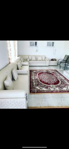 阿尔哈德Sun shine chalet的带沙发和地毯的客厅