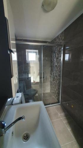 奥赫里德Flat in Trpejca的带淋浴、盥洗盆和浴缸的浴室