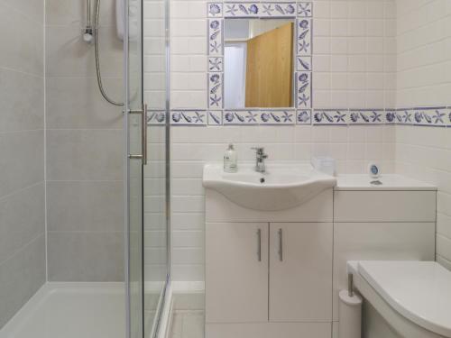 波特马多克25 South Snowdon Wharf的白色的浴室设有水槽和淋浴。