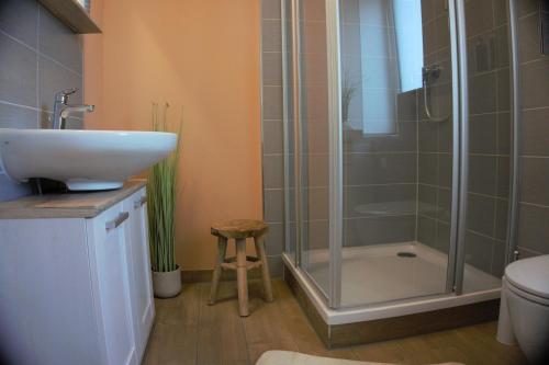 伊尔梅瑙Ferienwohnung TrautesHeim - Parkplatz gratis的带淋浴、盥洗盆和卫生间的浴室