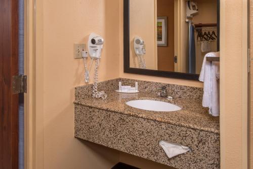 尚蒂伊杜勒斯机场尚蒂伊酒店的浴室的柜台设有水槽和镜子