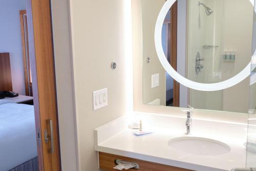 理查森达拉斯理查森/普莱诺万豪酒店的一间带水槽和镜子的浴室