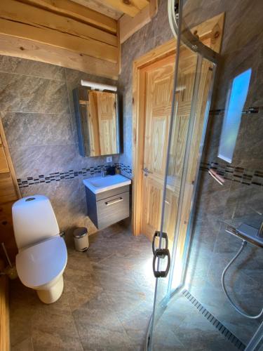 尤卡尔内Zvejnieku māja的一间带卫生间和淋浴的浴室