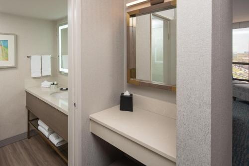 达拉斯达拉斯喜来登画廊酒店的一间带水槽和镜子的浴室