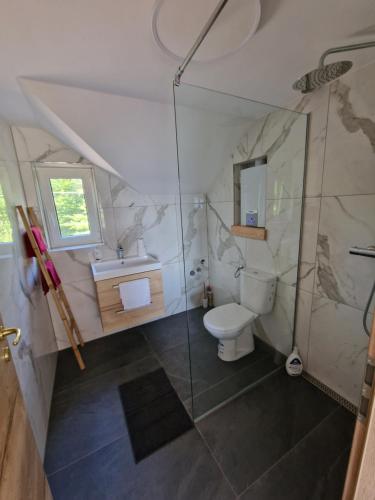Drganja SelaGrey green and fun 4 YOU - 2 Cottages的一间带卫生间和玻璃淋浴间的浴室